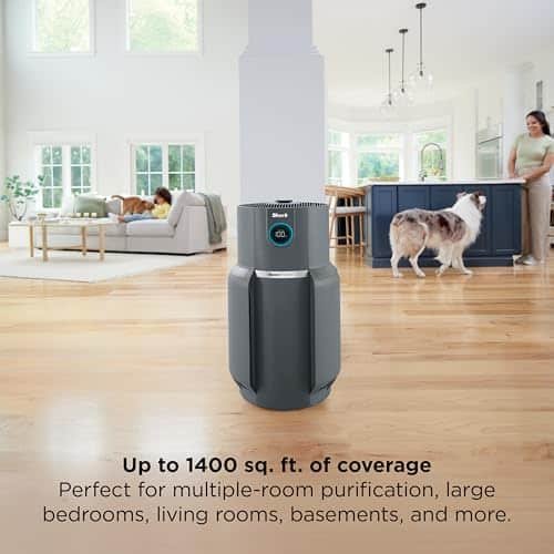 Shark Air Purifier For Home Review