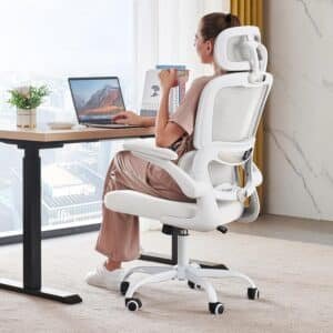 TRALT Office Ergonomic Chair