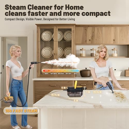 Best Portable Steamer For Auto Detailing